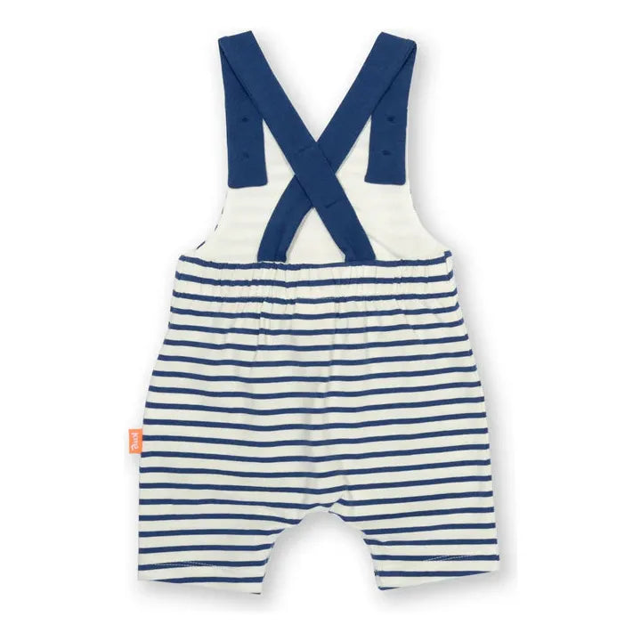Kite Little Shrimp Dungarees and Vest