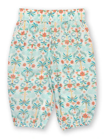 Kite Ele Oasis Pull Ups