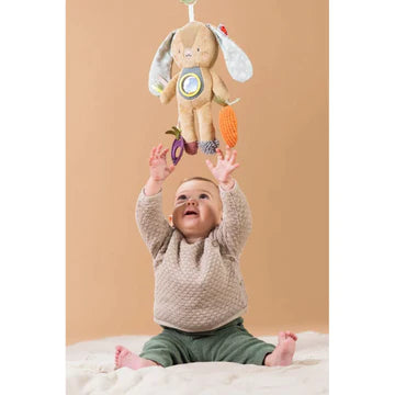 Taf Toys Jenny Activity Bunny