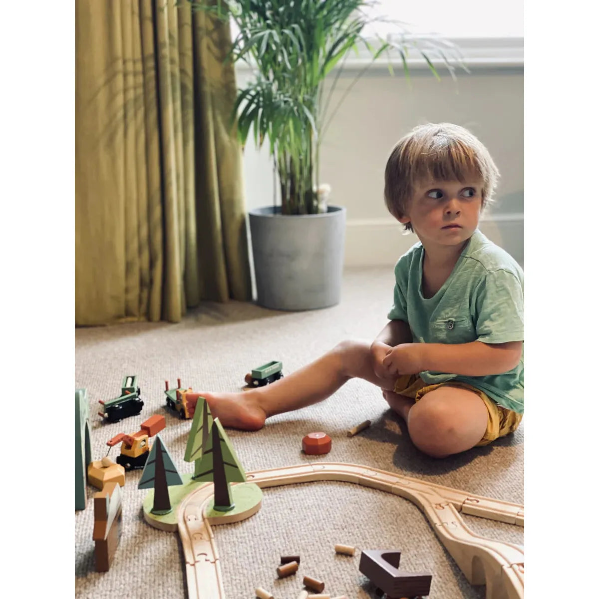 Tender Leaf Wild Pines Train Set - Collection Only